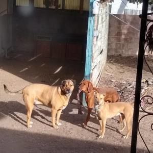 Meet your Posher, Stephen